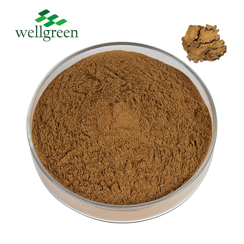 Natural?Szechwan?Cnidium?Officinale?Lovage?Rhizome?Powder?Root?Rhizoma?Chuanxiong?Extract