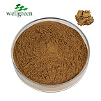 Natural?Szechwan?Cnidium?Officinale?Lovage?Rhizome?Powder?Root?Rhizoma?Chuanxiong?Extract