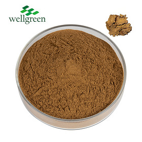 Natural Szechwan Cnidium Officinale Lovage Rhizome Powder Root Rhizoma Chuanxiong Extract