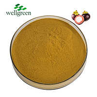 Artificial Fresh Fruit Powder Seed Frozen Dried Purple Plants Peel Pure Natural Mangosteen Extract