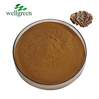 Zhi Mushroom Polysaccharide Powder Trametes Turkey Tails Organic Coriolus Versicolor Extract