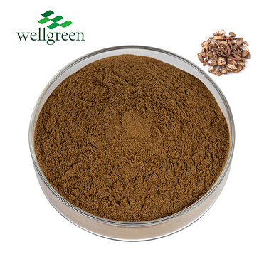 98%?Dan-Shen?Root?Powder?Wellgreen?Factory?P.E.?Sage?Salvia?Miltiorrhiza?Extract