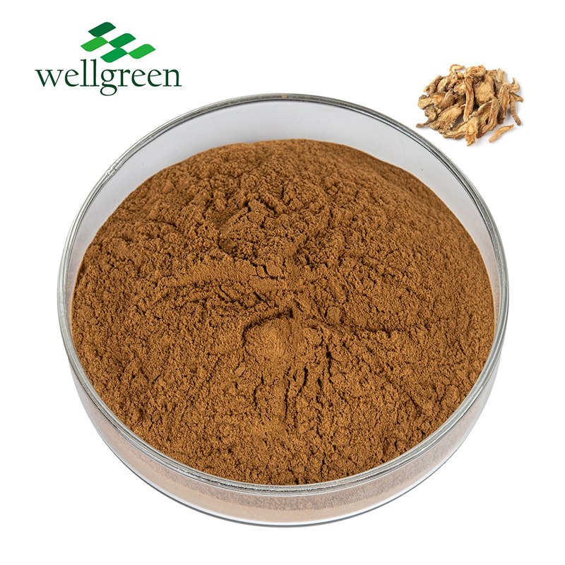 Divaricate Saposhnikovia Root Radix Saposhnikoviae Natural China Factory Manufacturer Siler Extract