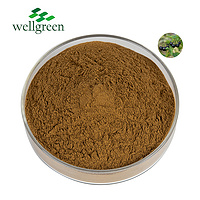 Wellnature Supply Chinese Herbal Extract Solanum Nigrum Estratto Powder Black Nightshade Extract