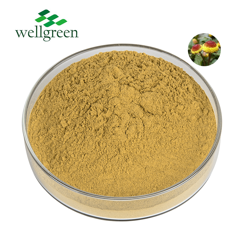 Wellgreen Free Samples 10:1 Spilanthes Flowder Acmella Oleracea Extract Powder