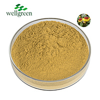 Wellgreen Free Samples 10:1 Spilanthes Flowder Acmella Oleracea Extract Powder