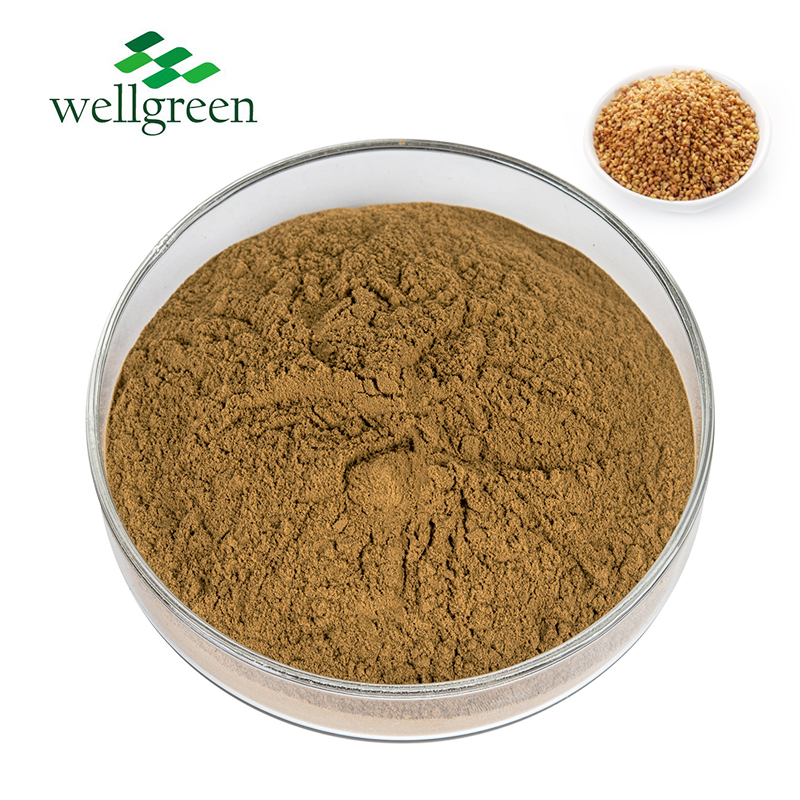Health?Care?Routine?Flavonoids?Fagopyrum?Tataricum?Suppliers?Rutin?Tartary?Buckwheat?Extract
