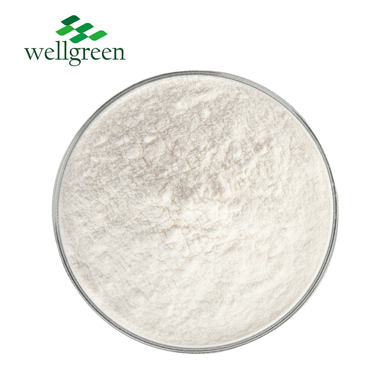 Cas?77-52-1?Rosemary?Extract?Powder?Bearberry?Leaf?Loquat?Salvia?Officinalis?98%?Ursolic?Acid