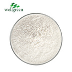 Cas?77-52-1?Rosemary?Extract?Powder?Bearberry?Leaf?Loquat?Salvia?Officinalis?98%?Ursolic?Acid