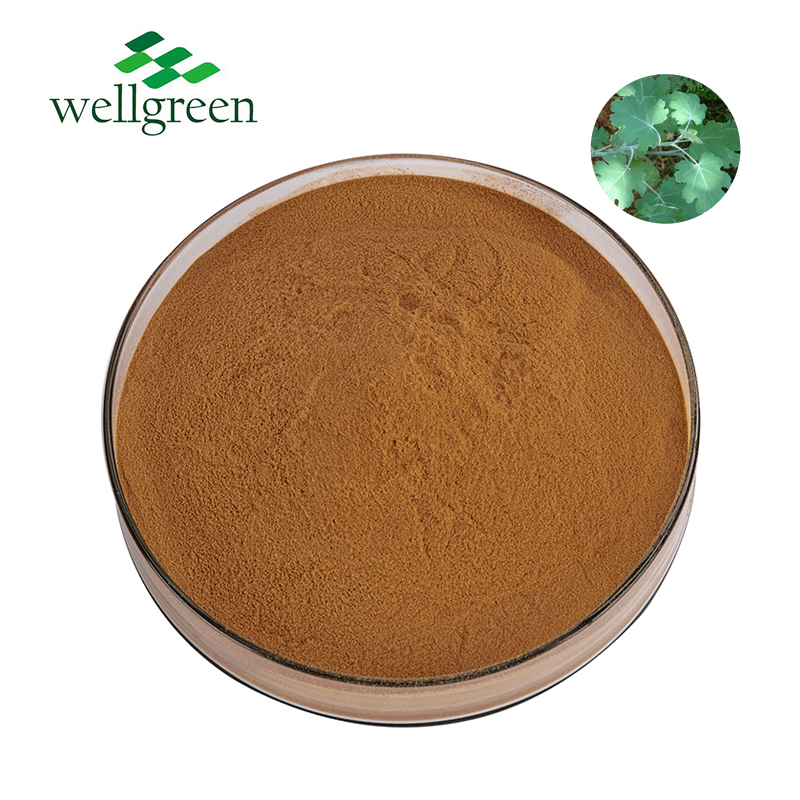 Free?Sample?Total?Alkaloids?Sanguinarine?Antibiotics?Plant?Extract?Macleaya?Cordata?Powder