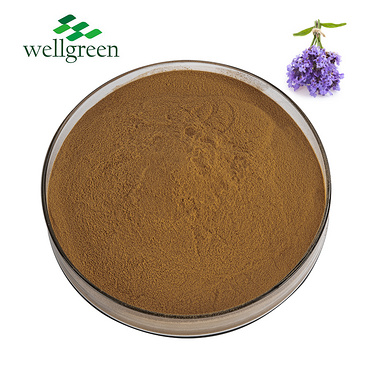 100%?Raw?Material?Natural?GMP?Standard?Dried?10:1?Organic?Powder?Lavender?Extract