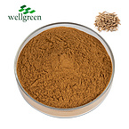 Factory?Bulk?Thinleaf?Milkwort?Root?Radix?Powder?Saponins?Polygalae?Polygala?Tenuifolia?Extract