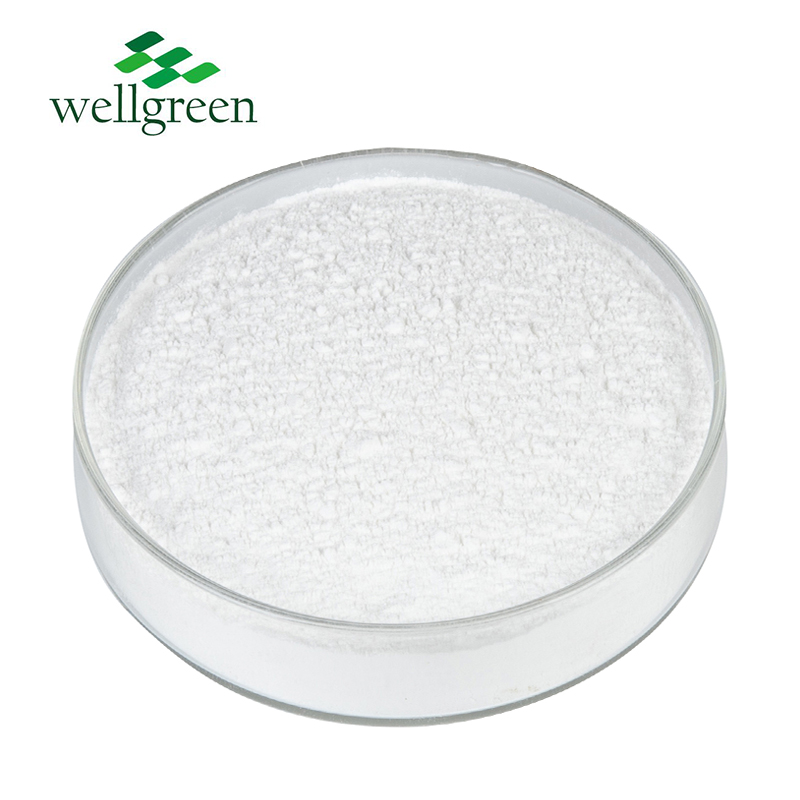 Wellgreen?Plant?Factory?Healthcare?Supplement?CAS?5985-28-4?Citrus?Aurantium?Synephrine?Extract