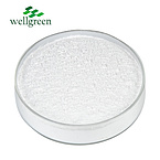 Wellgreen?Plant?Factory?Healthcare?Supplement?CAS?5985-28-4?Citrus?Aurantium?Synephrine?Extract
