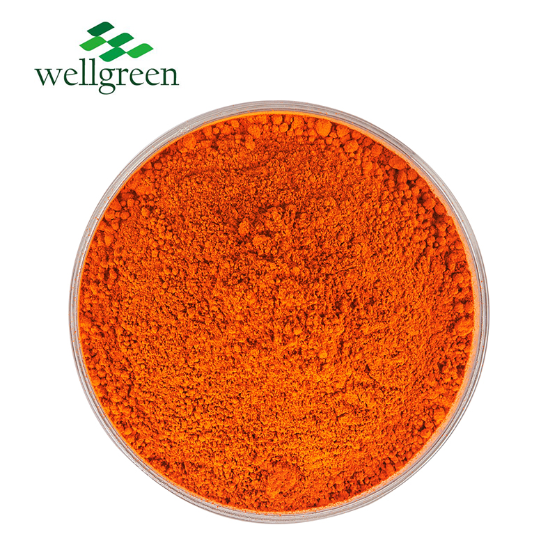 Wellgreen Bulk Additive Low Price Halal Antioxidant Lutein Marigold Flower Extract Zeaxanthin Powder