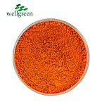 Wellgreen?Bulk?Additive?Low?Price?Halal?Antioxidant?Lutein?Marigold?Flower?Extract?Zeaxanthin?Powder