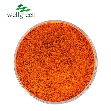 Wellgreen Bulk Additive Low Price Halal Antioxidant Lutein Marigold Flower Extract Zeaxanthin Powder