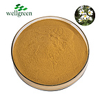 Health Formulation Kosher Halal Herb Euphrasia Officinalis Flavone Powder 10:1 Eyebright Extract