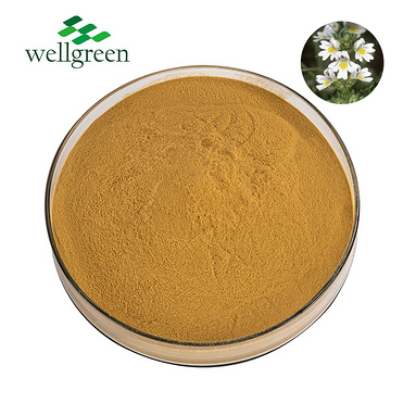 Health?Formulation?Kosher?Halal?Herb?Euphrasia?Officinalis?Flavone?Powder?10:1?Eyebright?Extract