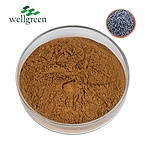 Raw?Material?Factory?Free?Sample?HPLC?98%?Oleanolic?Acid?Glossy?Privet?Fruit?Extract