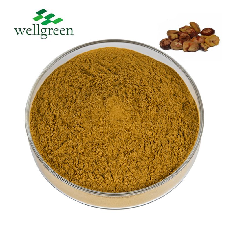 GMP Organic Herbal Escin Aesculus Hippocastanum Aesculin Horse Chestnut Extract Aescin 