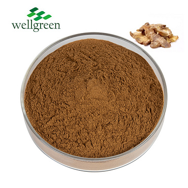 Chinese?Traditional?Natural?Herb?Huang?Jing?Siberian?Solomonseal?Rhizome?Extract?Powder