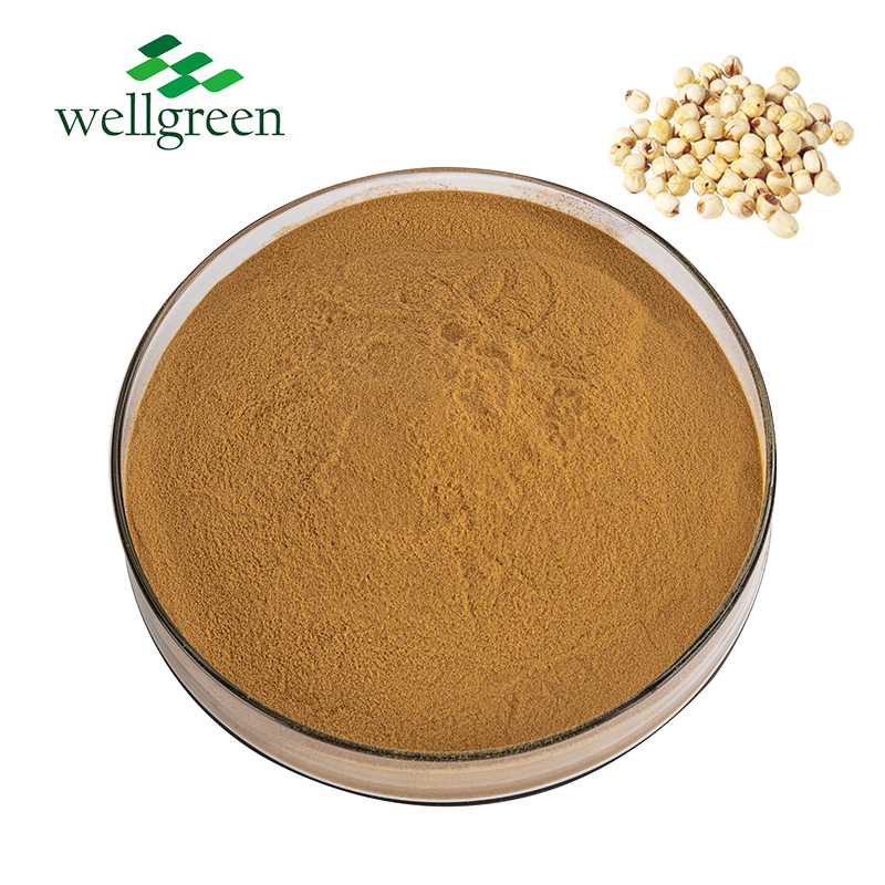 Cosmetic?Ingredient?Kosher?Halal?Semen?Nelumbinis?Protein?Powder?Lotus?Seed?Extract