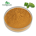 Sodium Copper Chlorophyllin White Chlorophyll Powder 15% Natural Herbal Plant Mulberry Leaf Extract