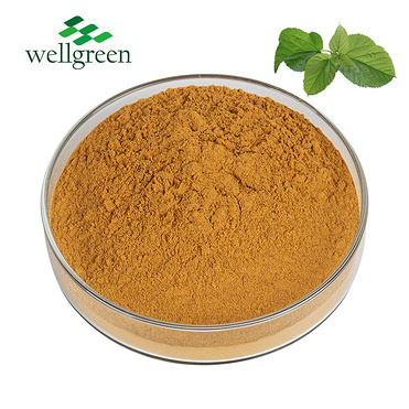 Sodium Copper Chlorophyllin White Chlorophyll Powder 15% Natural Herbal Plant Mulberry Leaf Extract
