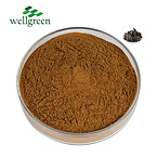 Plant Extract Factory Natural Fungus Polysaccharide Black Agaric Mushroom Agaric Extract