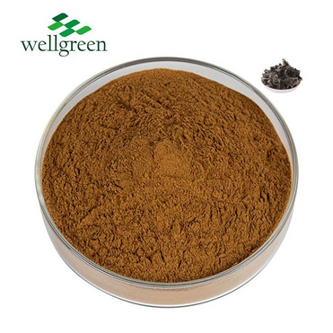 Plant?Extract?Factory?Natural?Fungus?Polysaccharide?Black?Agaric?Mushroom?Agaric?Extract