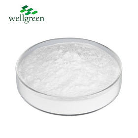 Wellgreen Bulk Free Sample Organic Pure Natural Fruit Apple Peel Extract Polyphenols