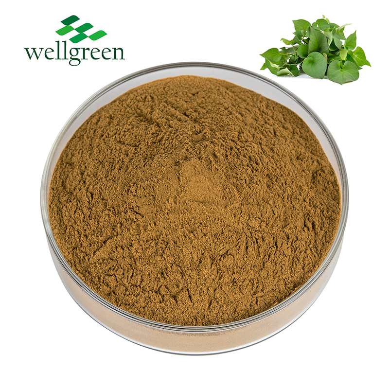 High Quality Natural Organic Pure 10:1 Herbal 100% Powder Houttuynia Cordata Extract