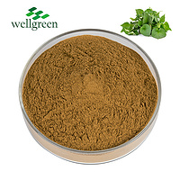 High Quality Natural Organic Pure 10:1 Herbal 100% Powder Houttuynia Cordata Extract