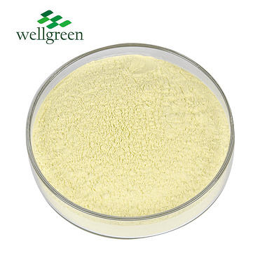 Natural 98% Sophora Japonica Extract Powder Pharmaceutical Raw Materials Cas 491-70-3 Luteolin