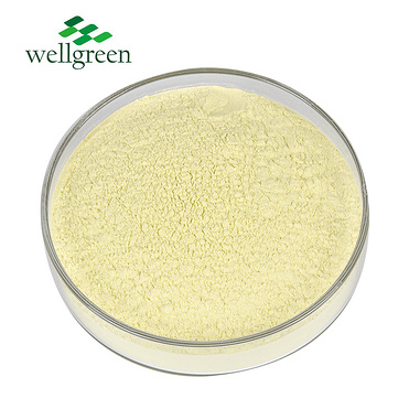 Natural?98%?Sophora?Japonica?Extract?Powder?Pharmaceutical?Raw?Materials?Cas?491-70-3?Luteolin