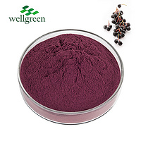 Wellnature Cyanidin Elderberry Extract Powder Anthocyanidin Barbury Fruit Black Wolfberry Anthocyani