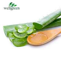 Wellgreen Private Label Oem 100% Pure Whitening Price Bulk Organic Natural 99% Aloe Vera Gel