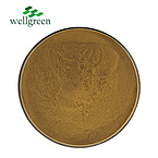 Factory?Supply?Banaba?Leaf?Corosolic?Acid?Cas?4547-24-4?Lagerstroemia?Speciosa?Extract?