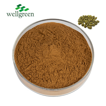 Wellgreen?Low?Price?Natural?Pure?Orchid?Nobile?Candidum?Powder?Officinale?10%?Dendrobium?Extract