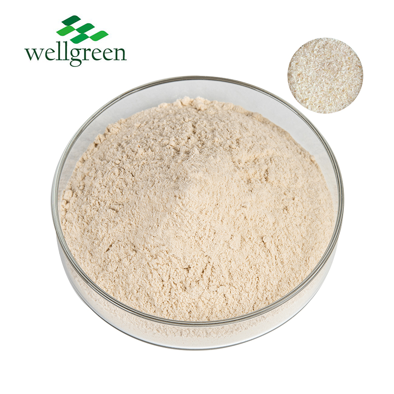 Whole Pure Natural Organic Bulk 98% Semen Plantaginis 95% Wholesale Fiber Seed Plantain Extract Psyl