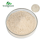 Whole Pure Natural Organic Bulk 98% Semen Plantaginis 95% Wholesale Fiber Seed Plantain Extract Psyl