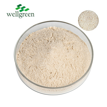 Whole Pure Natural Organic Bulk 98% Semen Plantaginis 95% Wholesale Fiber Seed Plantain Extract Psyl