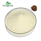 Natural?Herb?CAS?518-17-2?Evodia?Rutaecarpa?Star?Aniseed?Fructus?Evodiae?Fruit?Extract?Evodiamine