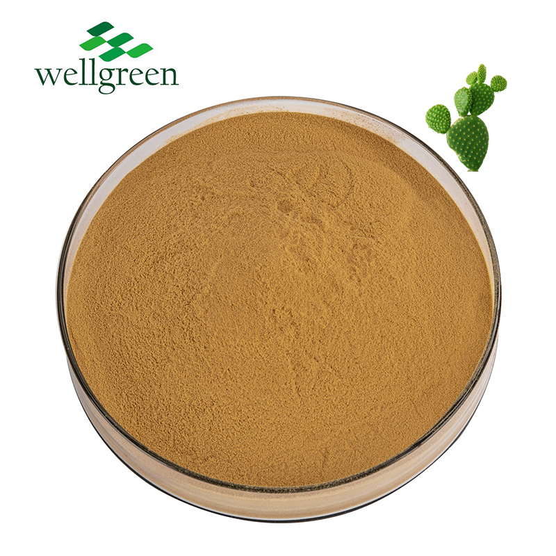 Natural Oraginc Plant Hoodia Saponin Glycosides Opuntia Nopal Dillenii Cactus Extract Powder 