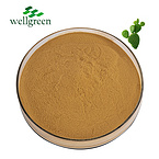 Natural?Oraginc?Plant?Hoodia?Saponin?Glycosides?Opuntia?Nopal?Dillenii?Cactus?Extract?Powder?