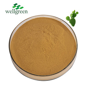 Natural Oraginc Plant Hoodia Saponin Glycosides Opuntia Nopal Dillenii Cactus Extract Powder 