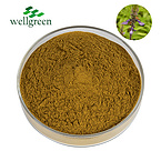 Bulk?100%?Pure?CAS?66575-29-9?Root?Powder?Price?Forskolin?Coleus?Forskohlii?Extract