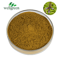 Bulk 100% Pure CAS 66575-29-9 Root Powder Price Forskolin Coleus Forskohlii Extract
