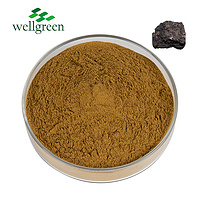 Wellgreen Wholesale Pure Organic Himalayan Silajit Powder Private Label Shilajit Extract